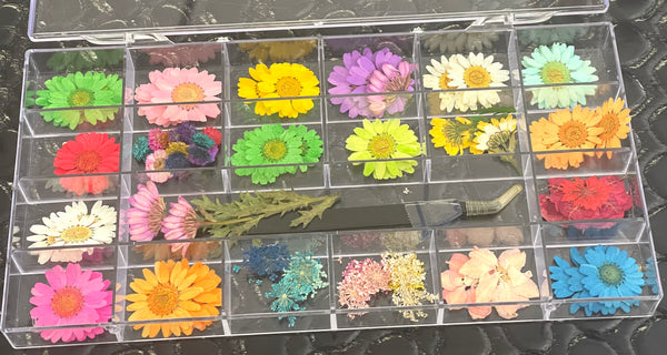 Dried flowers box