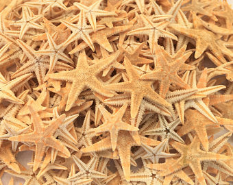 10 pieces Mini Starfish nail decoration