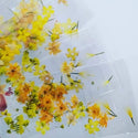 Dried flowers